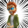 Gehe zu xbox.com
