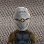 GrayFox006