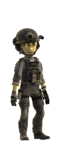 Pkort