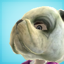 StiffyMcStink