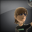 Gehe zu xbox.com