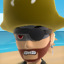 PIRATE or NINJA