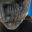 tvirus infected